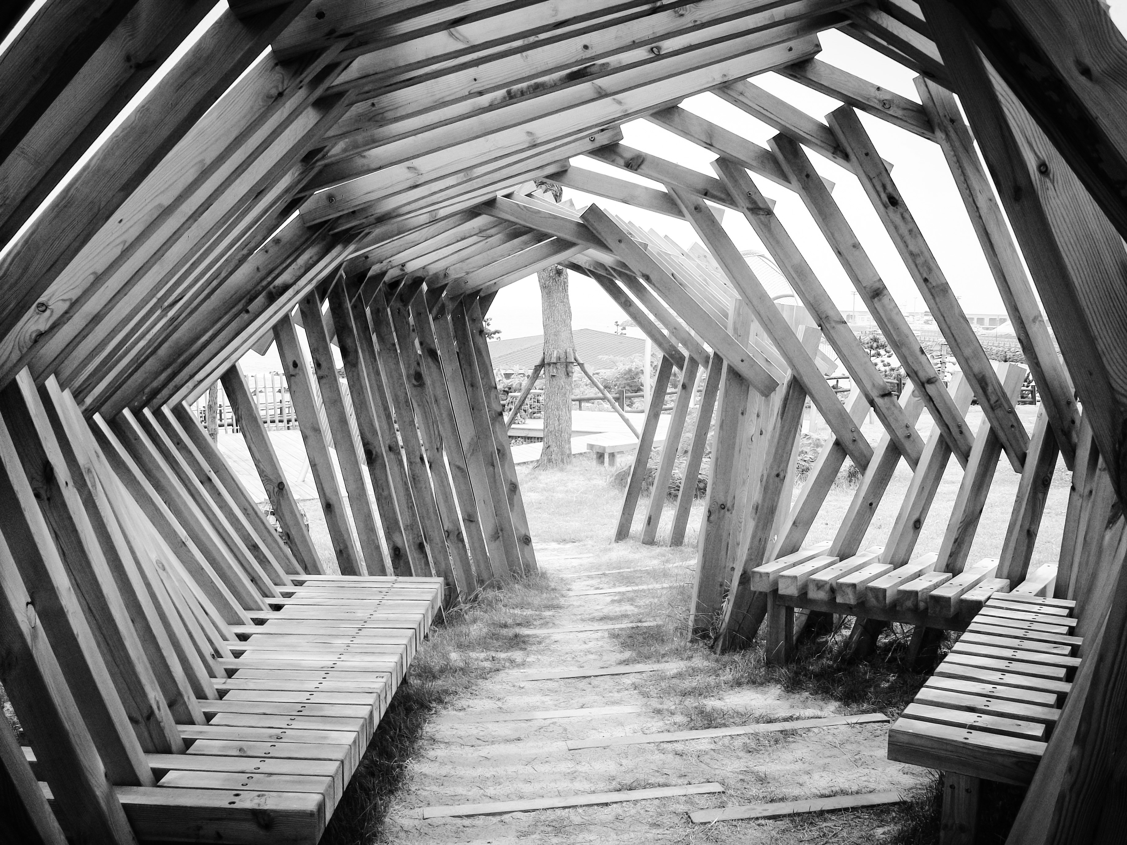 Jeju Timber Pavilion / Unknown
